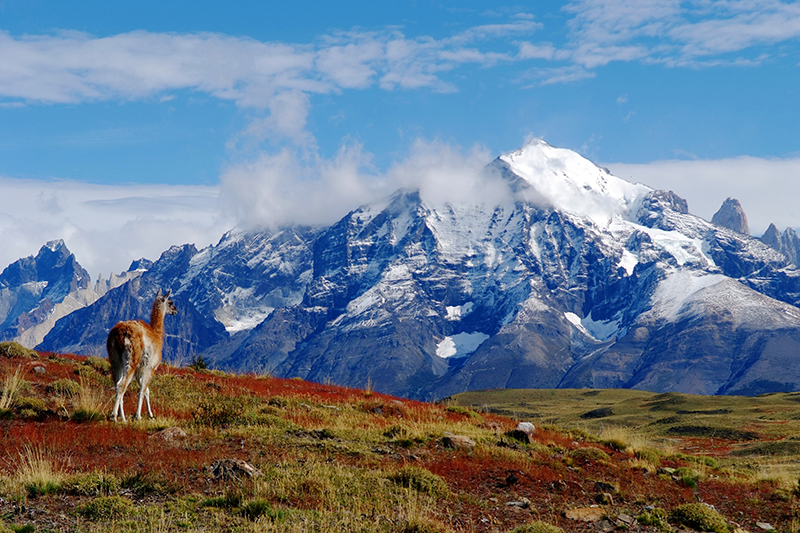 ORIGENES_Torres del paine_Explora Patagonia